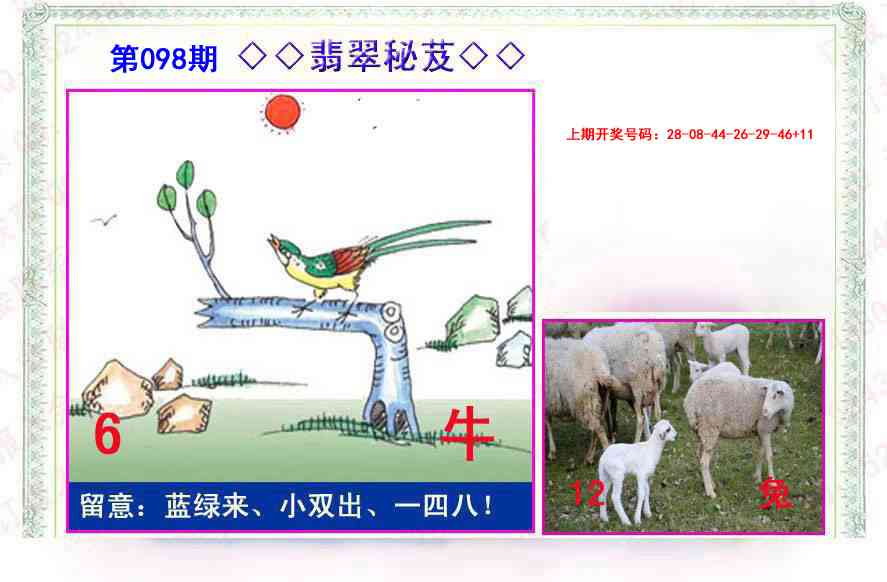 098期翡翠报[图]