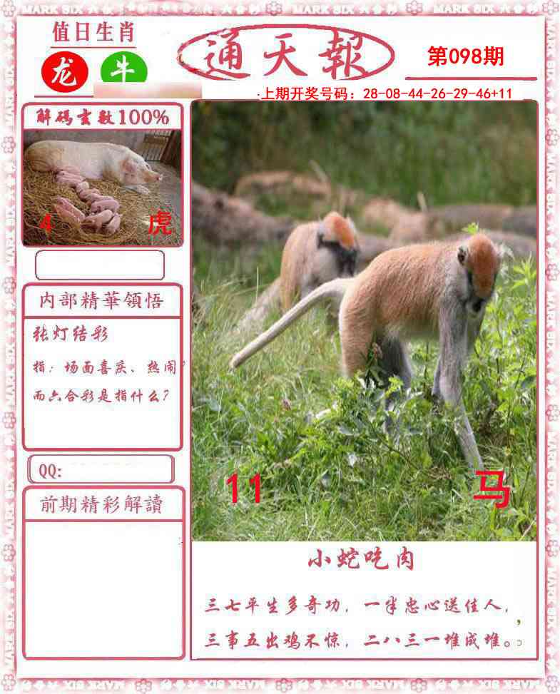 098期正版通天报[图]