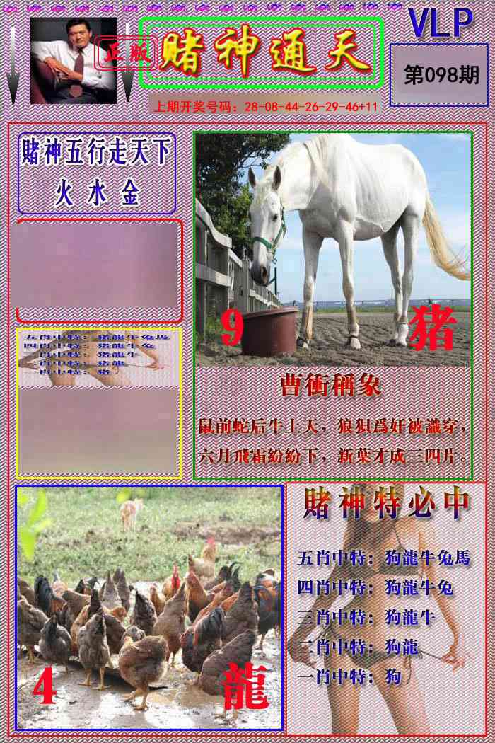 098期赌神通天报[图]